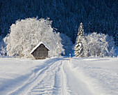 Snow covered road and cabin at Rotmoos, Styria, Austria, Europe