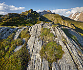 Gesteinsformation am Pfitscher Joch, Zillertaler Alpen, Tirol, Österreich, Europa
