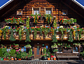 Blick auf altes Bauernhaus, Dienten am Hochkönig, Salzburg, Österreich, Europa