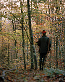 Hunter in mixed forest, Schloss Frankenberg, Weigenheim, Middle Franconia, Bavaria, Germany, Europe