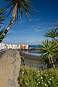 View through palm trees onto sandy beach, Playa Jardin, Puerto de la Cruz, Tenerife, Canary Islands, Spain, Europe