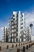 Fernsehturm und Häuser des Architekten Frank Gehry, Düsseldorf, Nordrhein-Westfalen, Deutschland, Europa