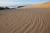 Ripples in the sand on a wandering dune, Curonian Lagoon North of Pervalka, Curonian Spit, Baltic Sea, Lithuania, Europe