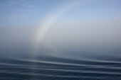 Fog bow over the sea, Svalbard, Hinlopenstretet, Arctic Ocean, Norway, Europe