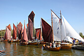 Sailing regatta in Althagen, Saaler Bodden, Fischland-Darss-Zingst Peninsula, Baltic Sea Coast, Mecklenburg Vorpommern, Germany