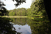 Tree reflection in Lake Hammersee, Schlaube Valley Nature park, Brandenburg, Germany