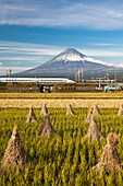 Japan Nov 2010 , Mount Fuji and the Bullet Train.