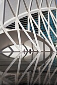 Spain, Valencia City, The City of Arts and Science built by Calatrava.