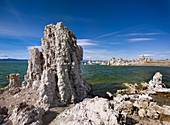 Mono Lake  California, USA