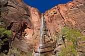 Zion NP  Utah  USA