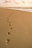 Footprints in the sand. Footprints in the sand