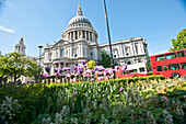 Plants outside St. Pauls Cathedral. Plants outside St. Pauls Cathedral