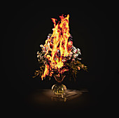 Vase of burning flowers. Burning vase of flowers , Still Life