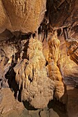 The Baradla Show Cave in the Aggtelek National Park, Hungary  The Baradla Cave in Aggtelek National Park is part of the UNESCO world heritage site of the caves of the Aggtelek and slovak karst  The cave is one of the major attractions of Hungary with abou