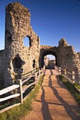 Pevensey is most famous for the Norman invasion in 1066 led by William Duke of Normandy  Prior to the Norman invasion, the area was a Roman settlement, during which time the village´s castle was originally built, before being burned to the ground by attac