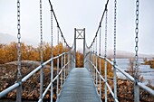Hanging footbridge over river to Abiskojaure hut, Kungsleden trail, Lapland, Sweden