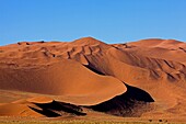 NAMIB-NAUKLUFT PARK, NAMIB DESERT, SOSSULSVLEI DUNES IN NAMIBIA