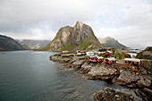 Reine village with the typical red rorbuer and the flakes to dry the cods, Moskenesøy island, Lofoten archipelago, Nordland county, Norway
