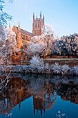 Worcester Cathedral on a frosty winter´s day reflecting on the river Severn  Worcestershire  England
