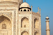Taj Mahal Close up, Agra, India