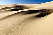 Sand Dunes - Oregon Dunes National Recreation Area - Reedsport, Oregon