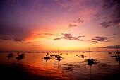Indonesia, Sulawesi, Makassar, sunset, fishing boats