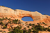 Blick auf den Wilson Arch, Moab, Utah, Südwesten, USA, Amerika