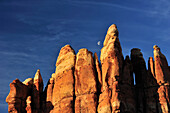 Felstürme im Chesler Park, Needles Area, Canyonlands Nationalpark, Moab, Utah, Südwesten, USA, Amerika