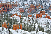 Rock spires in Bryce Canyon in winter, Bryce Canyon National Park, Utah, Southwest, USA, America