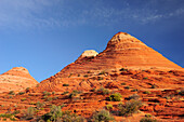 Red sandstone cones, Coyote Buttes, Paria Canyon, Vermilion Cliffs National Monument, Arizona, Southwest, USA, America