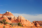 Red sandstone cones, Coyote Buttes, Paria Canyon, Vermilion Cliffs National Monument, Arizona, Southwest, USA, America