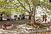Jardines de Alfabia, country house, estate, park, garden, Tramantura, Bunyola, Mallorca, Spain