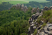 Blick auf die Schrammsteine, Nationalpark Sächsische Schweiz, Elbsandsteingebirge, Sachsen, Deutschland, Europa