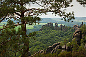 View of Schrammsteine Rocks, National Park Saxon Switzerland, Elbe Sandstone Mountains, Saxony, Germany, Europe