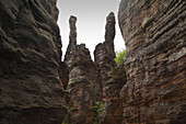 Hercules Towers at Bielatal valley, National Park Saxon Switzerland, Elbe Sandstone Mountains, Saxony, Germany, Europe