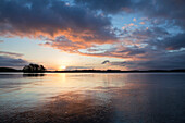 Großer Plöner See am Morgen, Plön, Holsteinische Schweiz, Ostsee, Schleswig-Holstein, Deutschland, Europa