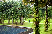 Malaysia, Kuala Lumpur City, Garden at the Golden Triangle