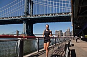 New York - United States, Brooklyn bridge and Manhattan bridge, Lower Manhattan skyline