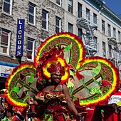 New York - United States, Children parade, the West Indian American Day Parade and Carnival in Brooklyn, Biggest parade, 41st Anniversary