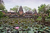 Indonesia-Bali island-Ubud City-Garden