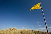 Swimming yellow flag, sand dune of la Torche land end, Plomeur, Finistère, Britany, France