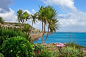 England, Cornwall, Mousehole, a garden in front of the sea