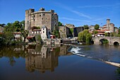 France, Loire Atlantique, Clisson, Castle and old bridge, ruins
