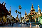 Myanmar (Burma), Yangon State, Yangon capital, Kandawgyi Quarter, People Park, Shwedagon pagoda, symbol of the city and the coutry, attracts many Buddhists