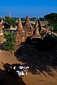 Myanmar (Burma), Mandalay State, Bagan (Pagan), Old Bagan, Khaymingha Temple (13th)
