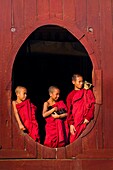 Myanmar (Burma), Shan State, Shwe Yan Pye, Shwe Yan Pye monastery, novices awaiting the first religious service of the morning