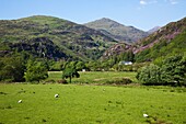 Wales,Gwynedd,Snowdonia National Park,View of Mount Snowdon from Beddgelert