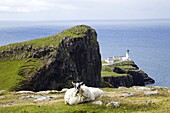 Scotland,Highland Region,Isle of Skye,Neist Point Lighthouse