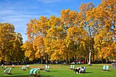 England,London,St.James Park,Autumn Leaves