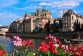France, Moselle (57), Metz, Moselle River, St. Stephen's Cathedral, flowers in the foreground